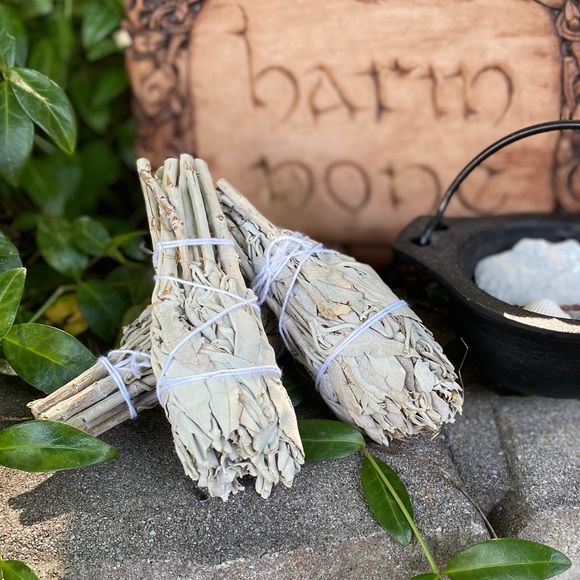 California White Sage Smudge TORCHES (3) FIRM - Picture 1 of 7